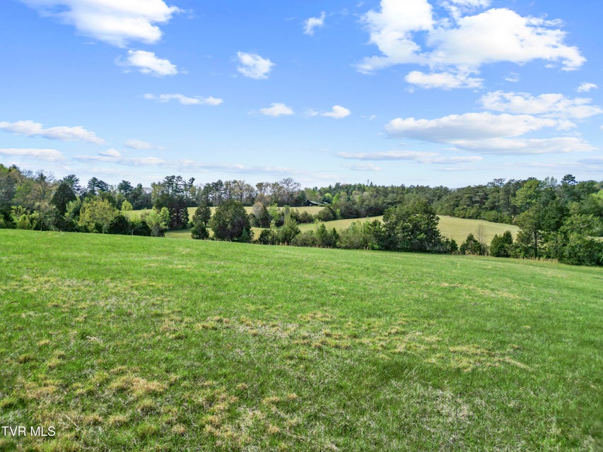 Photo #13: Tract 2 Red Hill Road