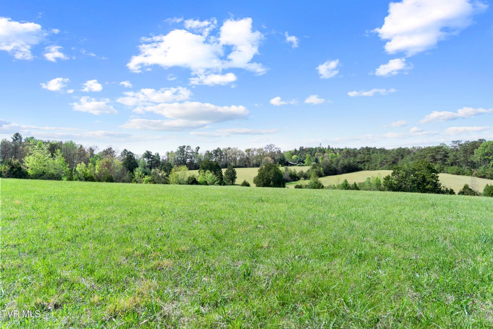 Photo #17: Tract 2 Red Hill Road