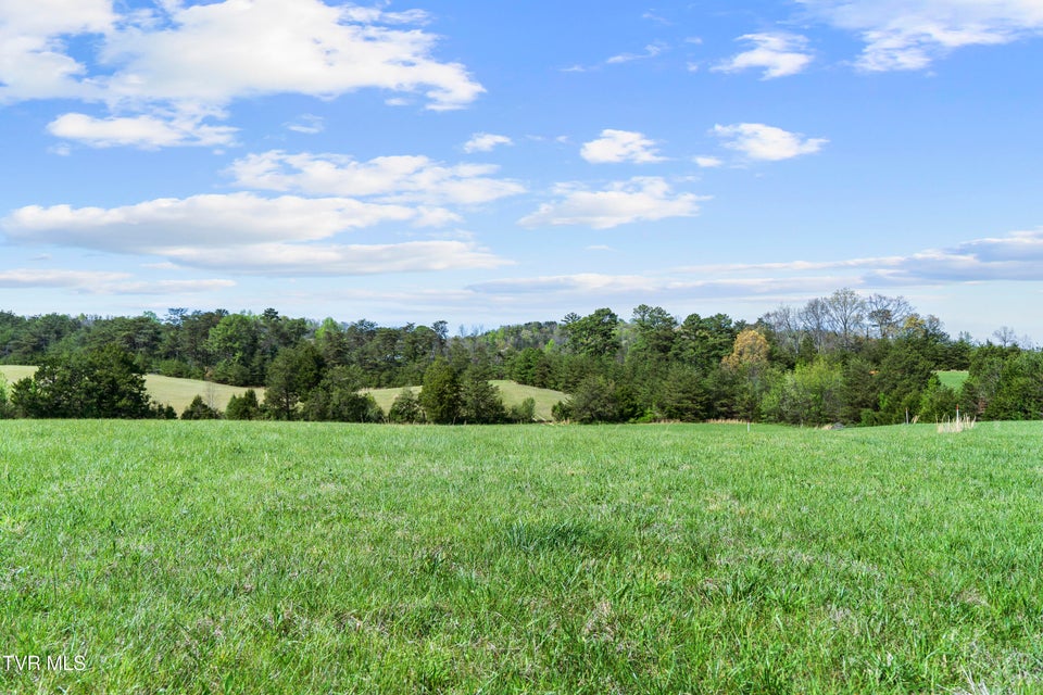 Photo #18: Tract 2 Red Hill Road