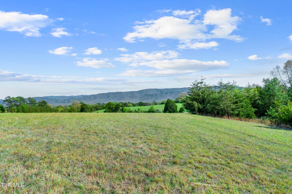 Photo #21: Tract 2 Red Hill Road