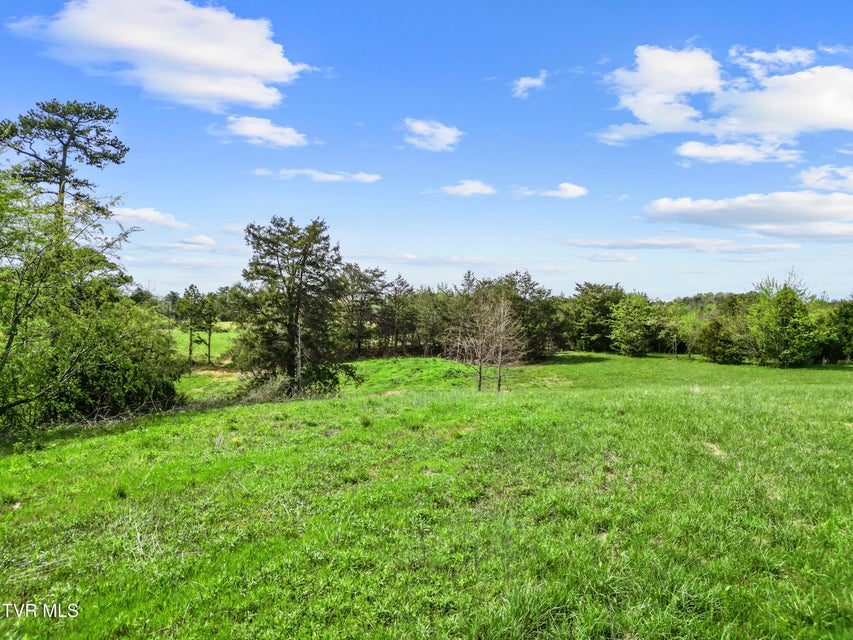 Photo #24: Tract 2 Red Hill Road