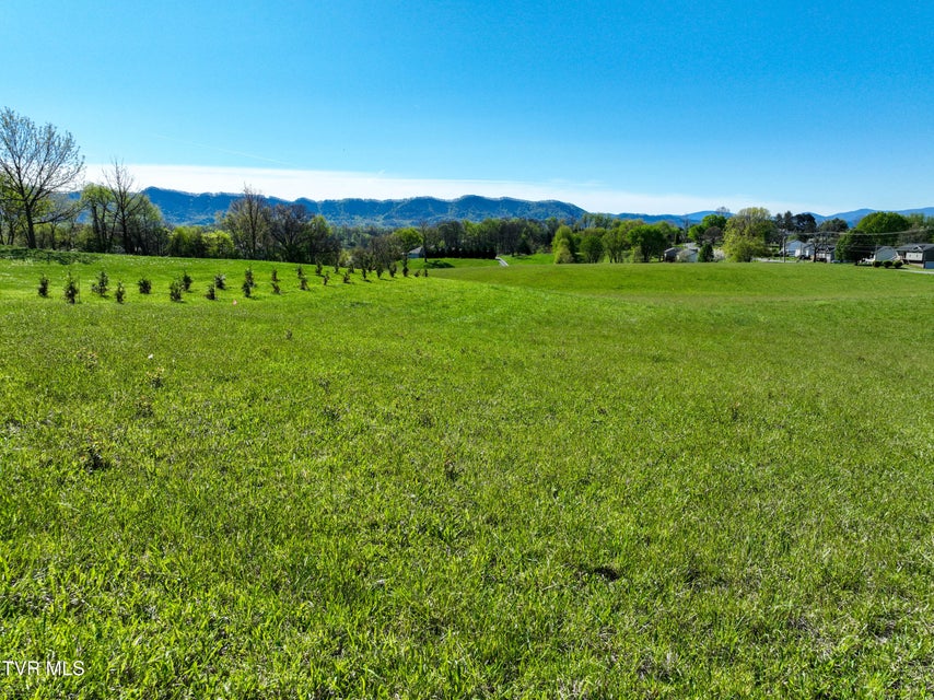 Photo #4: Tbd Old Embreeville Road