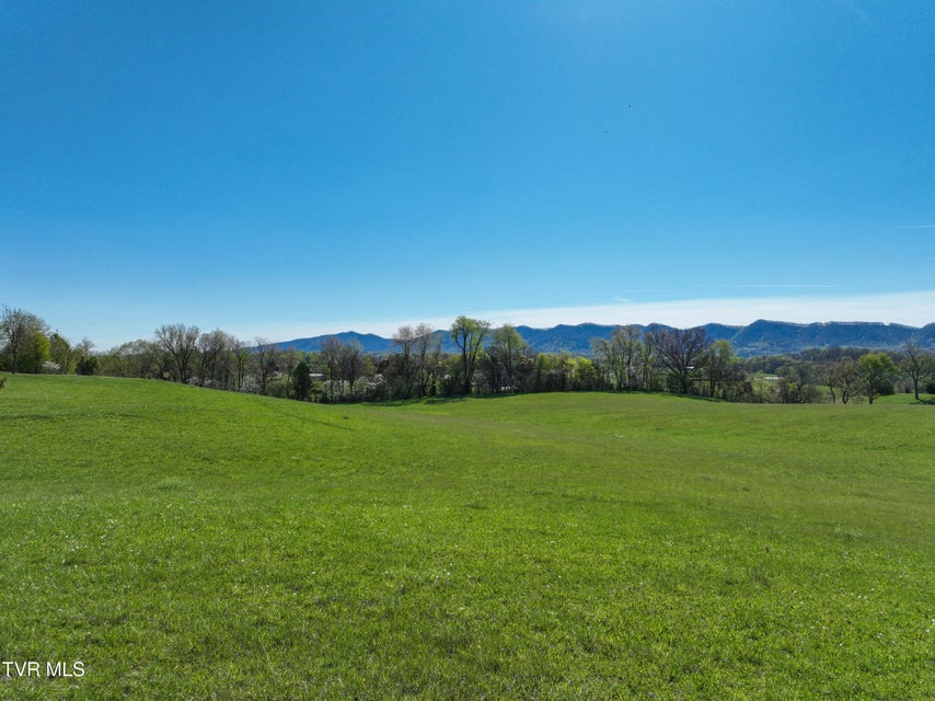 Photo #39: Tbd Old Embreeville Road