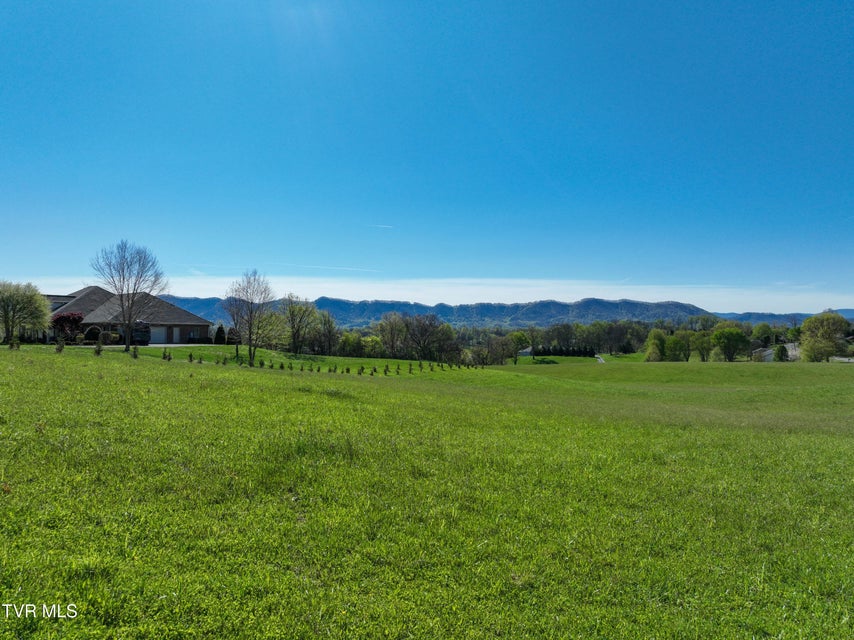 Photo #42: Tbd Old Embreeville Road