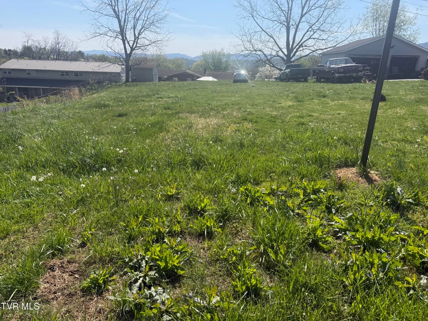 Photo #2: 513 Stanley Avenue