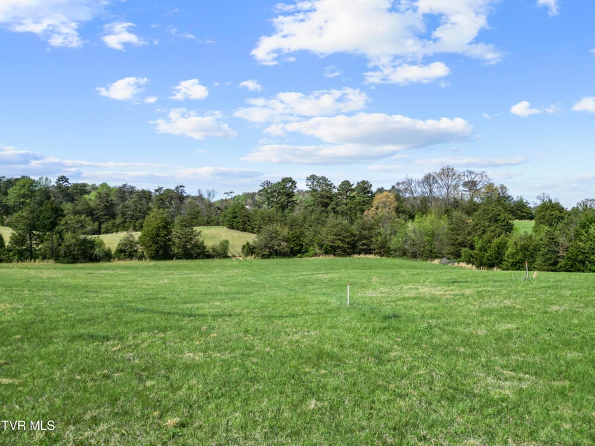 Photo #28: Tract 9 Ash Meadow Drive