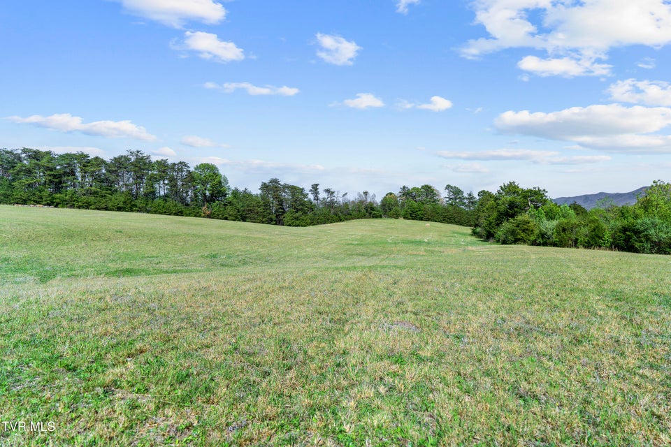 Photo #4: Tract 9 Ash Meadow Drive