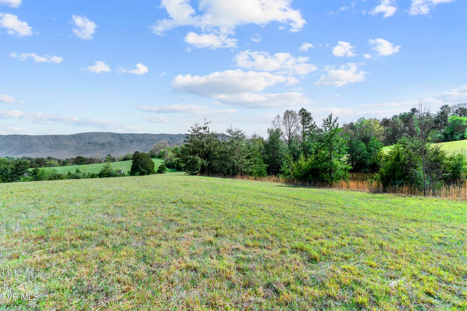 Photo #6: Tract 9 Ash Meadow Drive