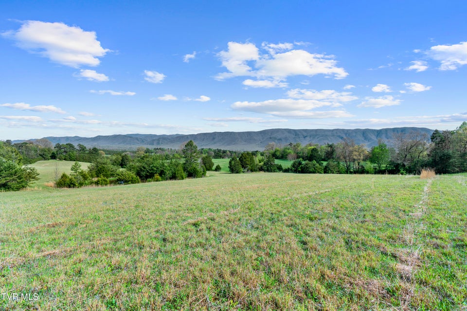 Photo #8: Tract 9 Ash Meadow Drive