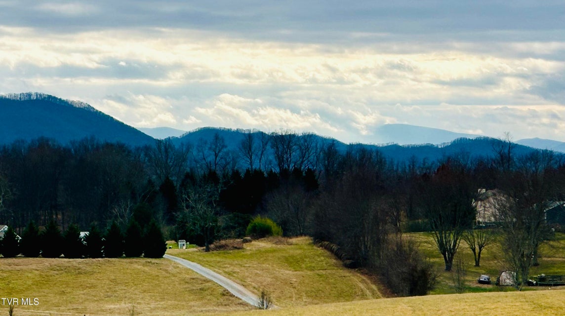 Photo #50: Tbd Old Embreeville Road