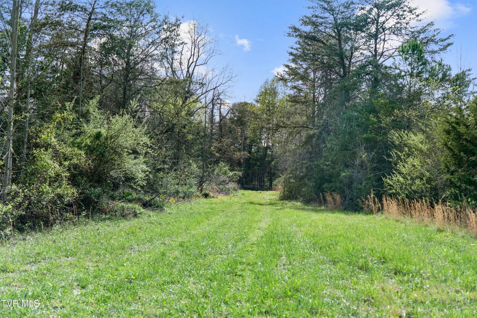 Photo #9: Tract 9 Ash Meadow Drive