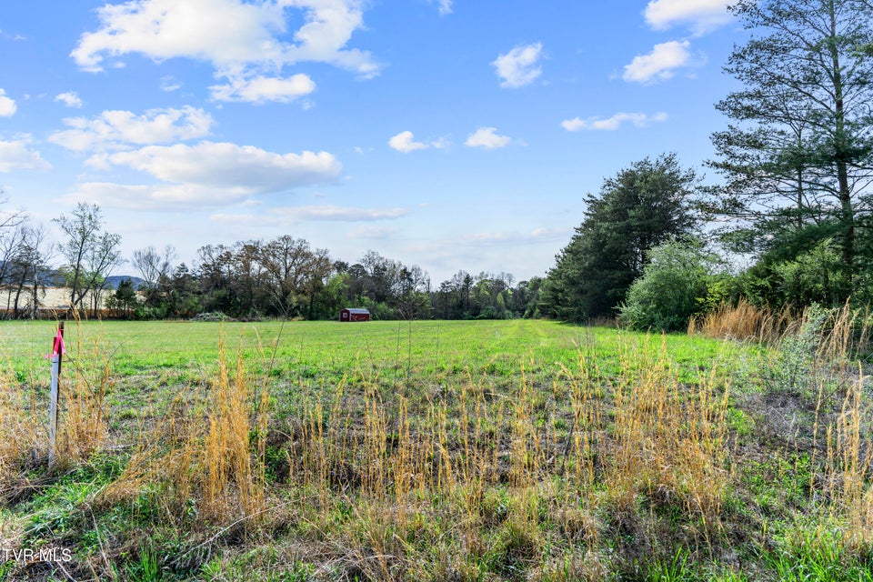 Photo #11: Tract 9 Ash Meadow Drive