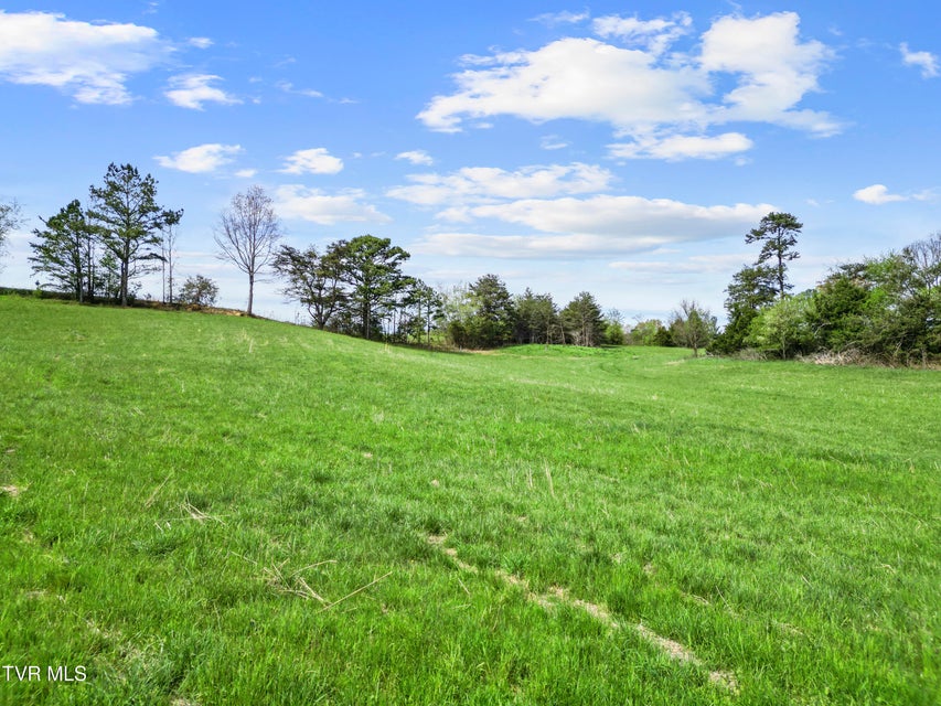 Photo #12: Tract 9 Ash Meadow Drive