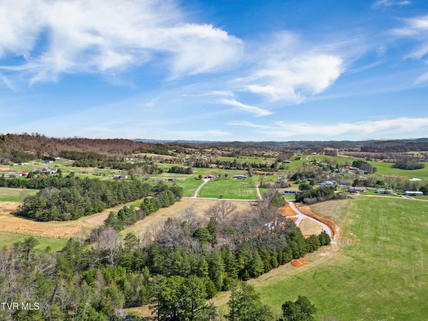 Photo #21: Tract 9 Ash Meadow Drive