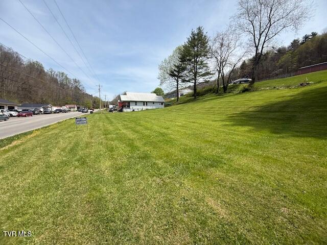 Photo #7: 000 Highway 321 