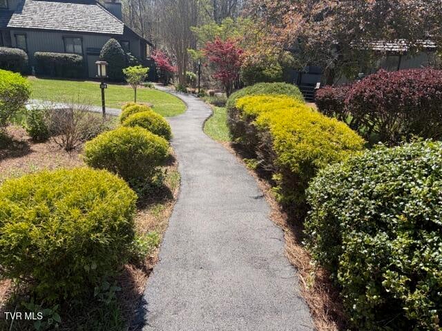 Photo #84: 120 Columbine Road