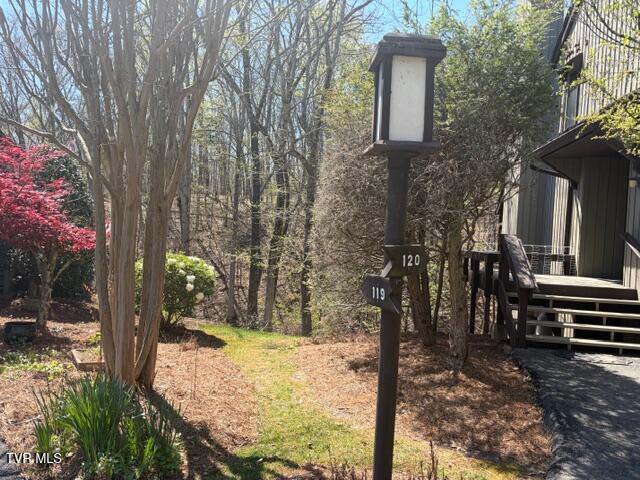 Photo #85: 120 Columbine Road