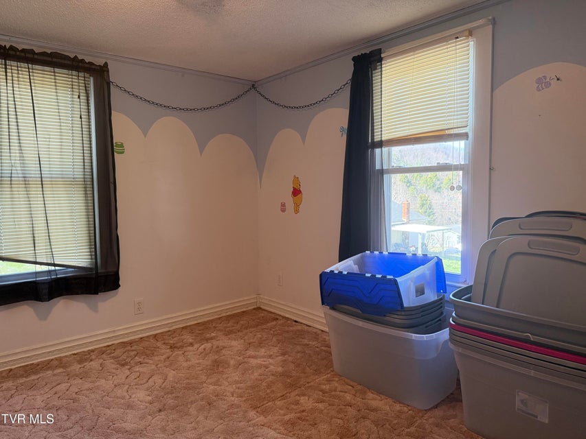 Photo #16: 664 Currin Valley Road