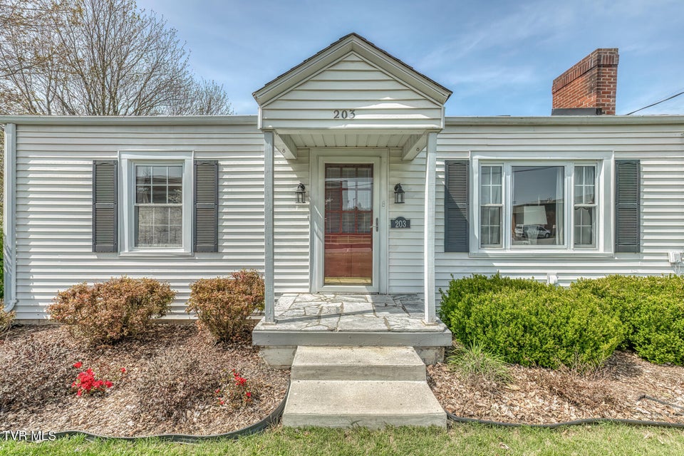 Photo #2: 203 School Avenue