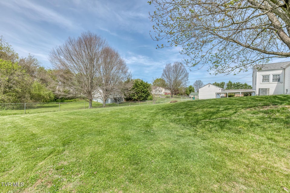 Photo #30: 203 School Avenue