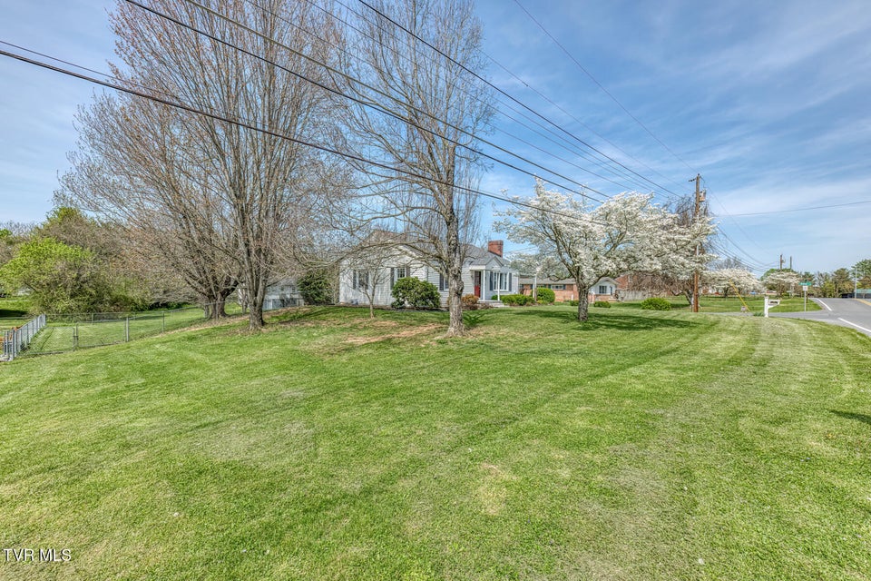 Photo #33: 203 School Avenue