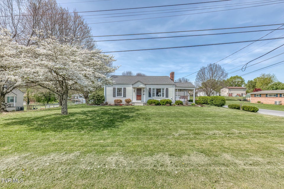 Photo #34: 203 School Avenue