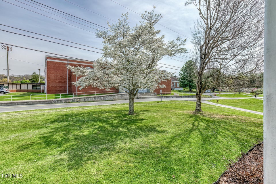 Photo #36: 203 School Avenue