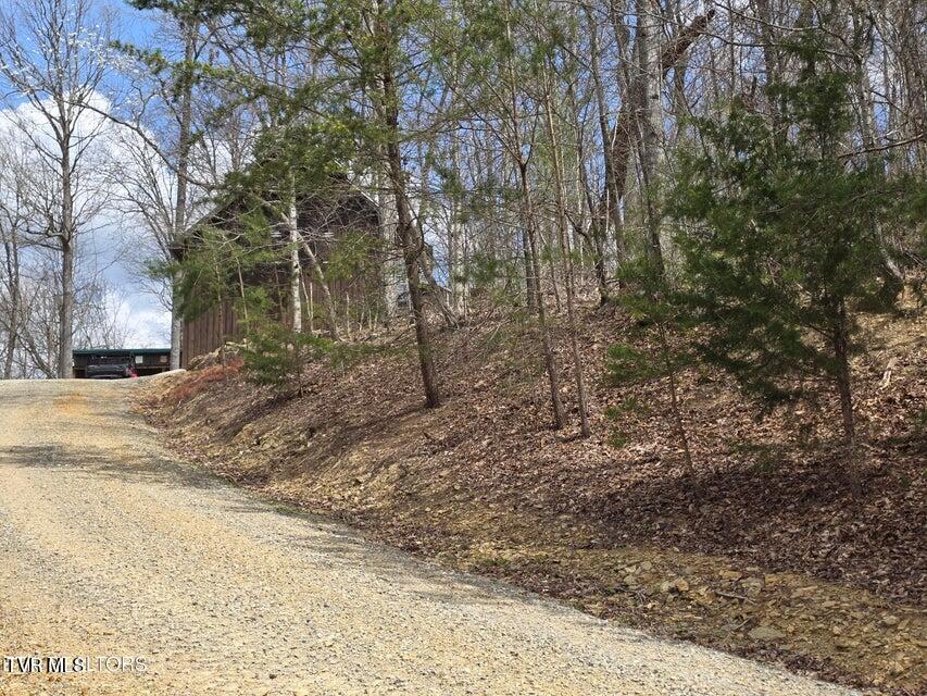 Photo #2: 5316 Tennessee 66 