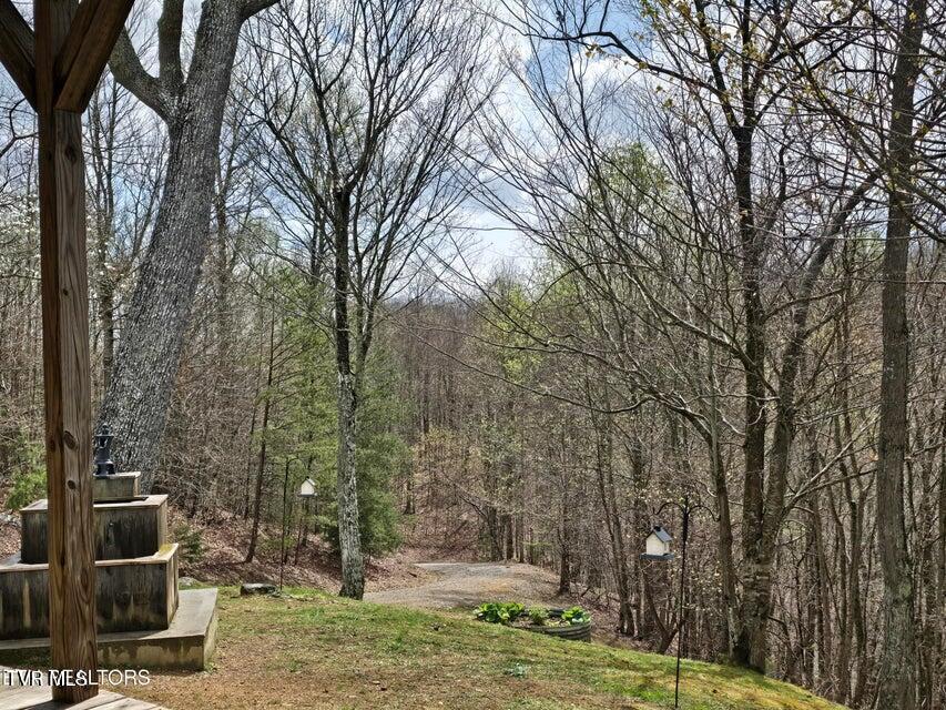 Photo #3: 5316 Tennessee 66 