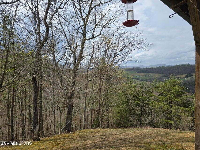 Photo #4: 5316 Tennessee 66 