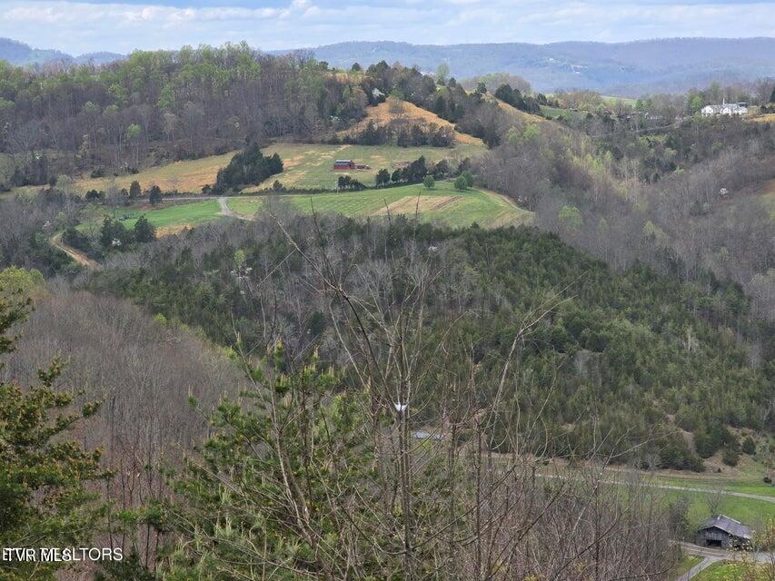 Photo #5: 5316 Tennessee 66 