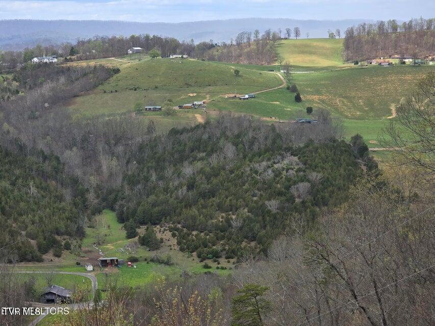 Photo #6: 5316 Tennessee 66 