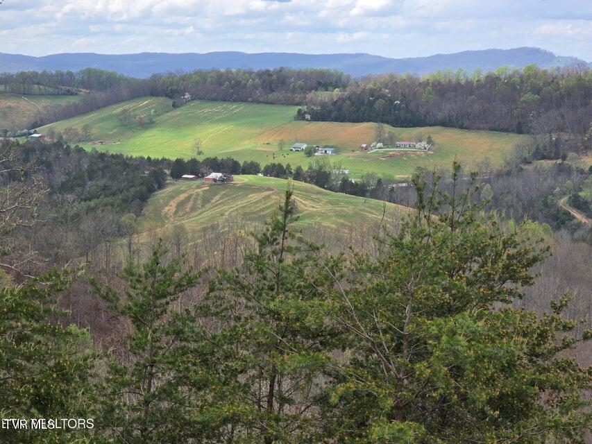 Photo #7: 5316 Tennessee 66 