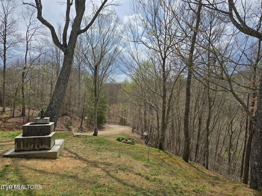 Photo #51: 5316 Tennessee 66 