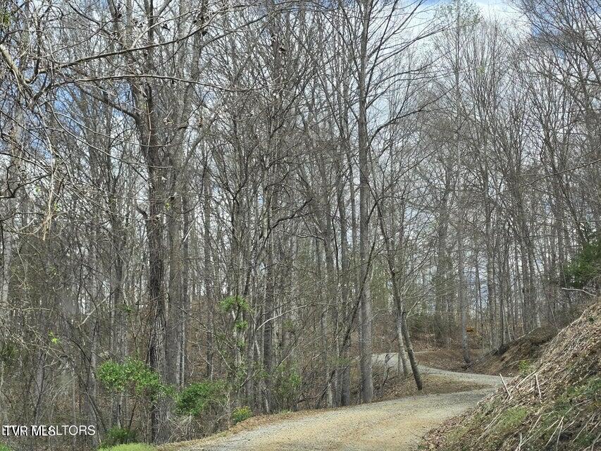 Photo #52: 5316 Tennessee 66 