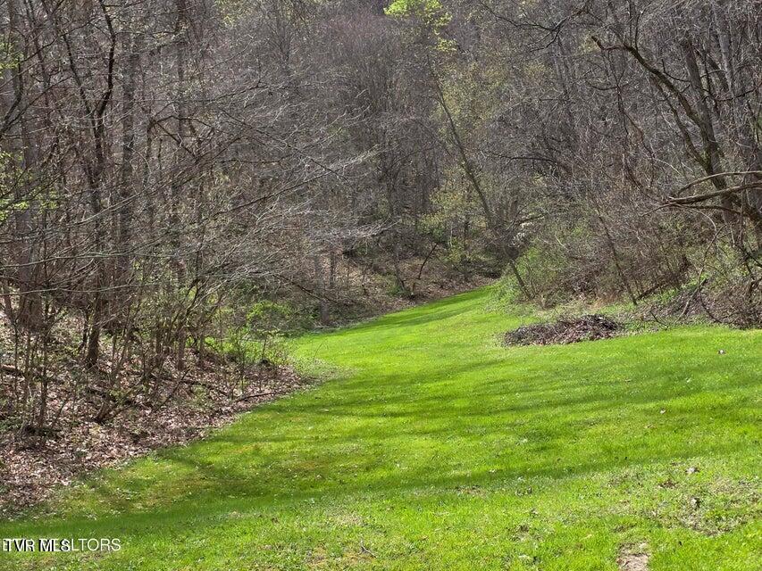 Photo #55: 5316 Tennessee 66 