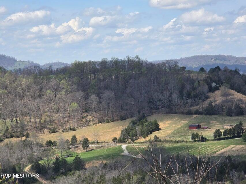 Photo #57: 5316 Tennessee 66 