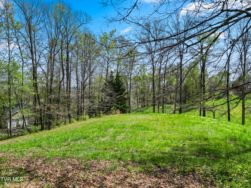 Photo #5: Tbd Arnold Palmer Drive