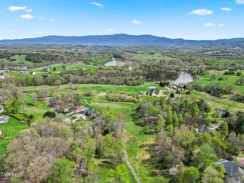 Photo #6: Tbd Arnold Palmer Drive