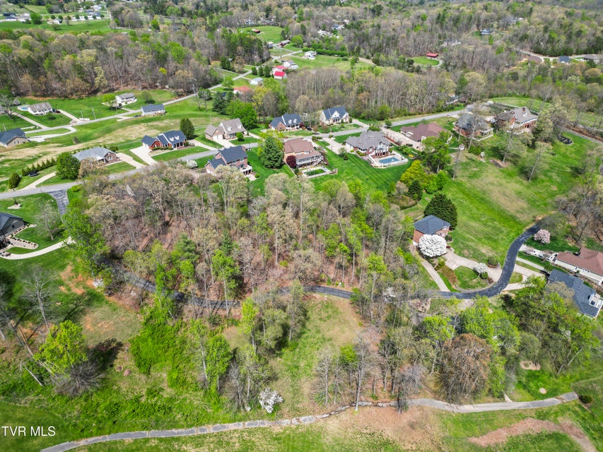 Photo #7: Tbd Arnold Palmer Drive