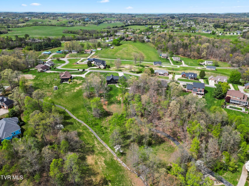 Photo #8: Tbd Arnold Palmer Drive