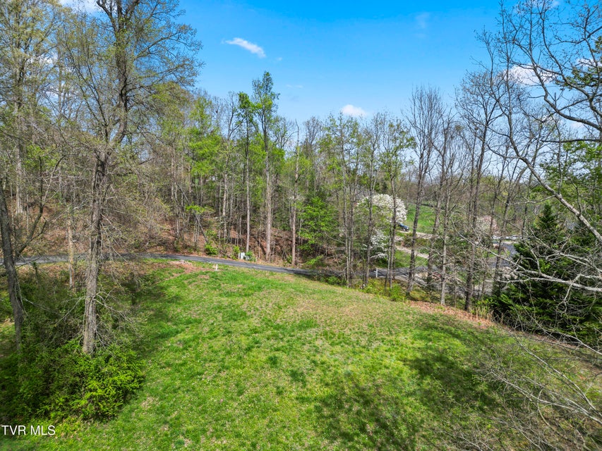 Photo #10: Tbd Arnold Palmer Drive