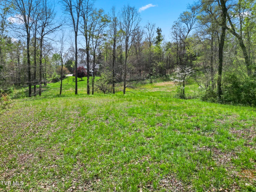 Photo #11: Tbd Arnold Palmer Drive