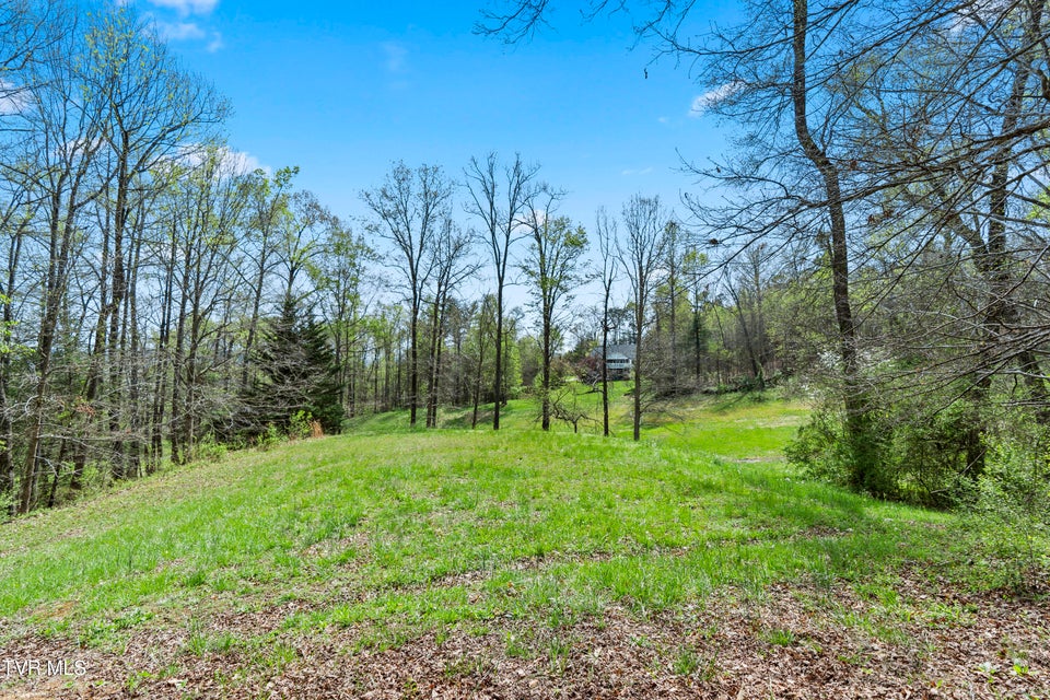 Photo #12: Tbd Arnold Palmer Drive