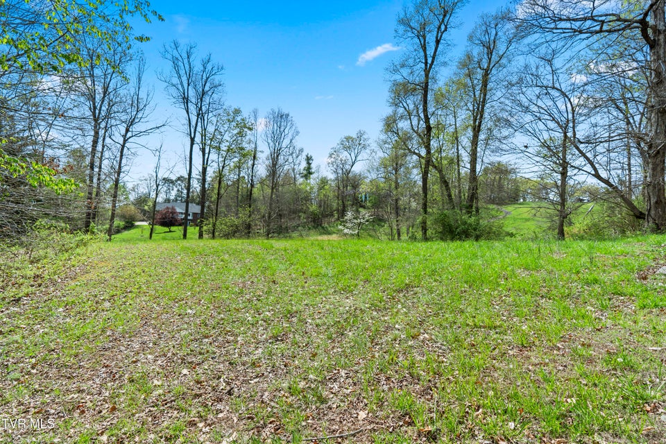 Photo #13: Tbd Arnold Palmer Drive