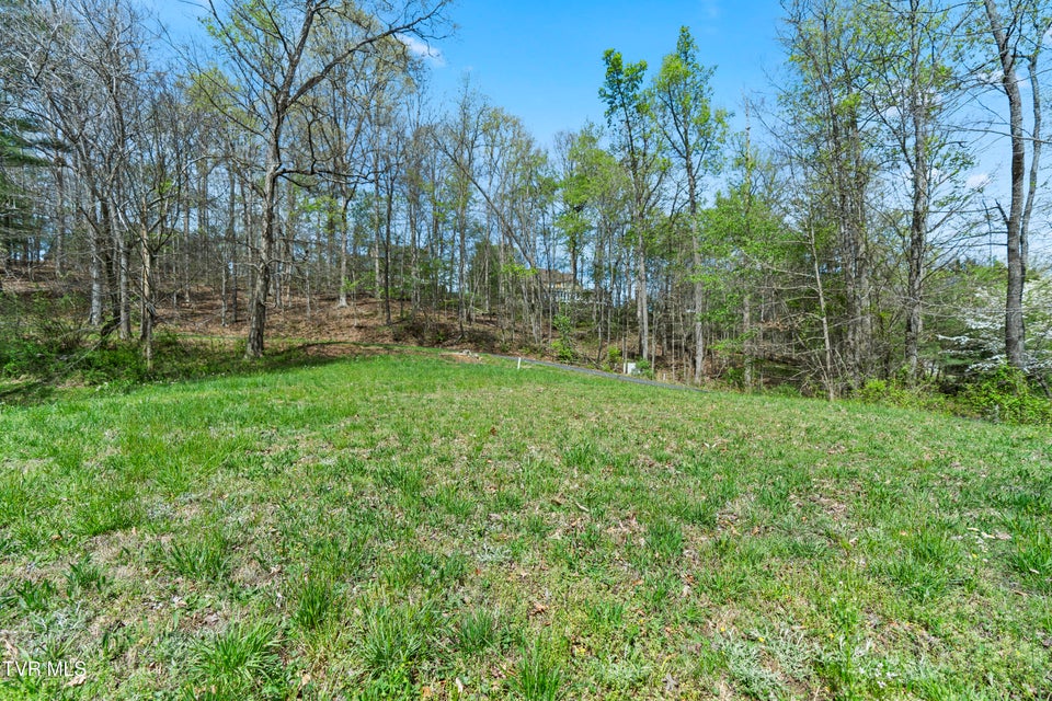 Photo #14: Tbd Arnold Palmer Drive