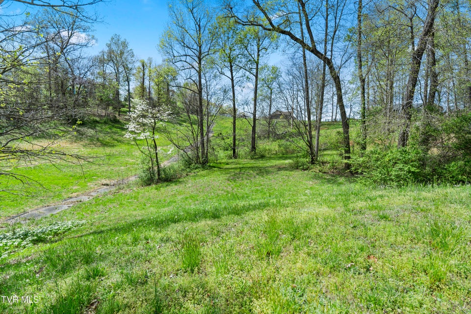 Photo #15: Tbd Arnold Palmer Drive