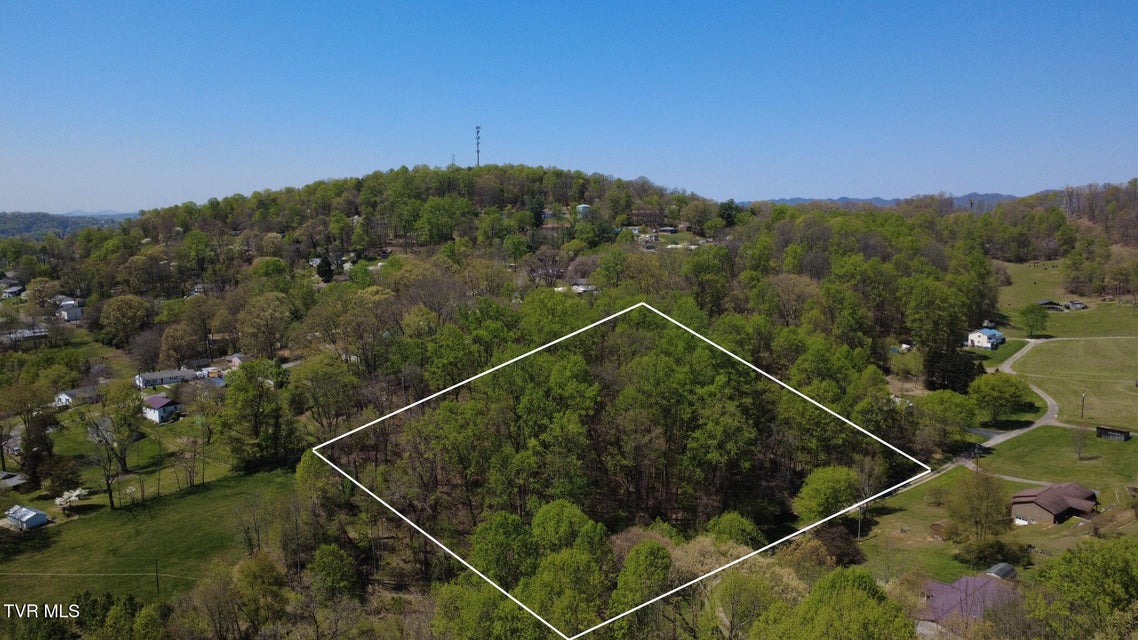 Photo #5: 0 Ball Orchard Pvt Drive