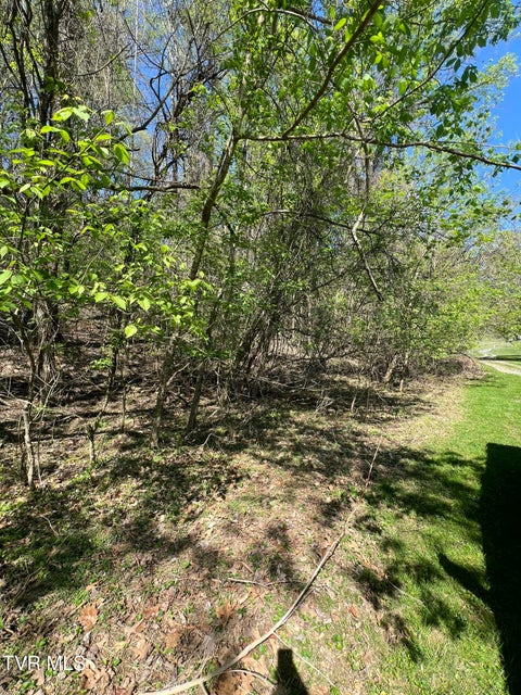 Photo #9: 0 Ball Orchard Pvt Drive