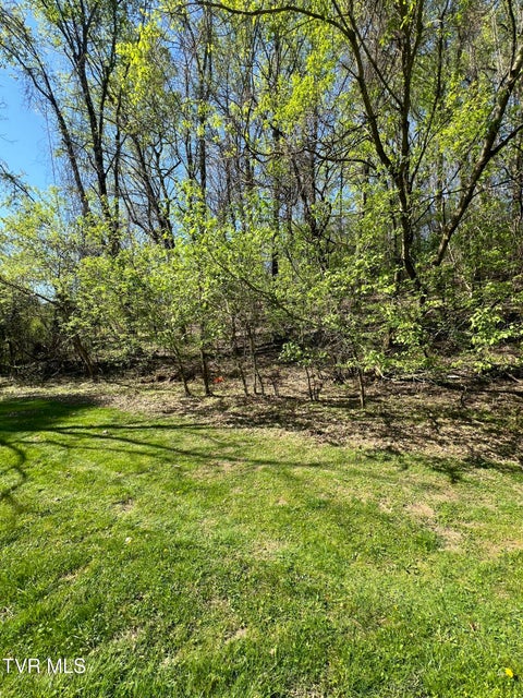 Photo #11: 0 Ball Orchard Pvt Drive